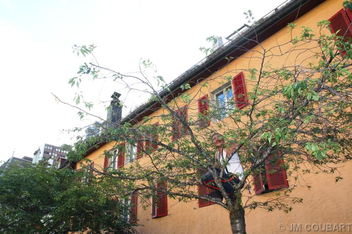 Diapositive suivante